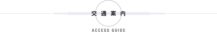 ACCESS GUIDE